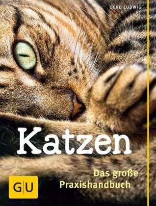 Cover for Ludwig · Katzen, große Praxishandbuch (Book)