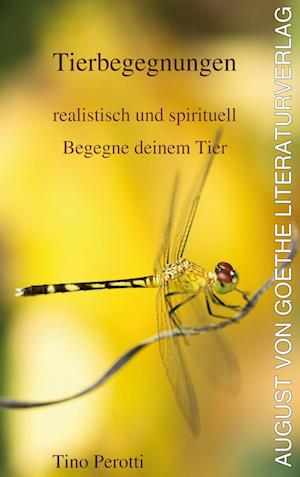 Cover for Tino Perotti · Tierbegegnungen - realistisch und spirituell (Book) (2023)