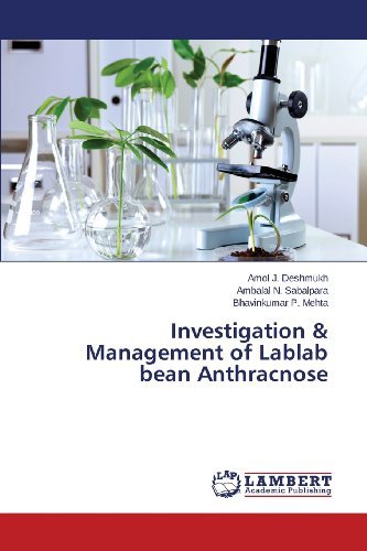 Cover for Bhavinkumar P. Mehta · Investigation &amp; Management of Lablab Bean Anthracnose (Paperback Book) (2013)