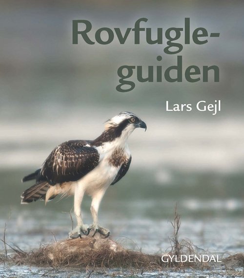 Cover for Lars Gejl · Rovfugleguiden (Indbundet Bog) [1. udgave] (2018)