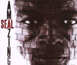 Amazing - Seal - Musik - WEA - 0093624989752 - 5. november 2007