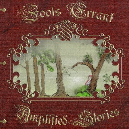 Amplified Stories - Fools Errant - Muzyka - QUASILECTRIC - 0885150340752 - 10 lipca 2015