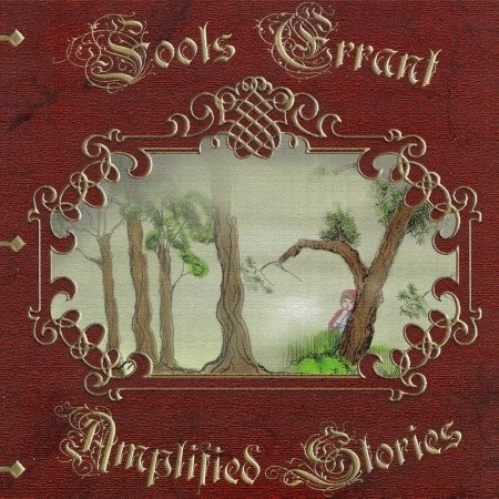 Cover for Fools Errant · Amplified Stories (CD) (2015)