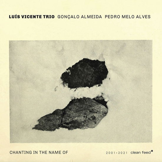 Chanting In The Name Of - Luis Vicente - Music - CLEAN FEED - 5609063005752 - July 14, 2021