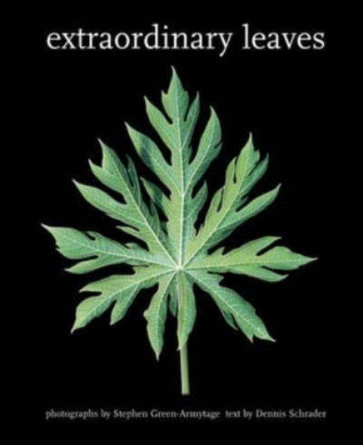 Extraordinary Leaves - Dennis Schrader - Livros - Firefly Books Ltd - 9780228103752 - 30 de maio de 2022