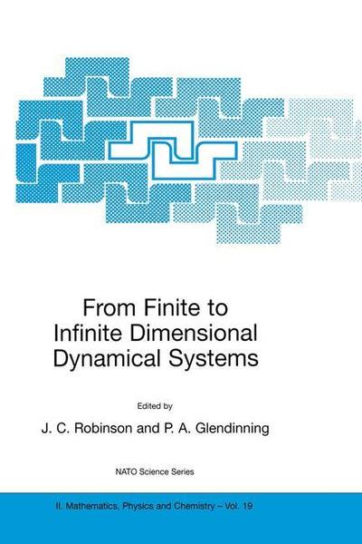 Cover for From Finite to Infinite Dimensional Dynamical Systems - NATO Science Series II (Hardcover bog) [2001 edition] (2001)