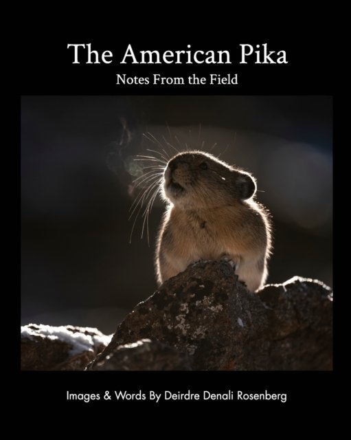 Cover for Rosenberg Deirdre Denali Rosenberg · The American Pika (Paperback Bog) (2021)