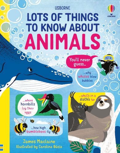 Lots of Things to Know About Animals - Lots of Things to Know - James Maclaine - Livros - Usborne Publishing Ltd - 9781474990752 - 3 de fevereiro de 2022