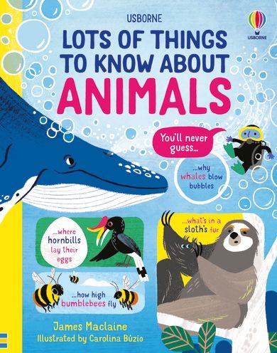 Lots of Things to Know About Animals - Lots of Things to Know - James Maclaine - Books - Usborne Publishing Ltd - 9781474990752 - February 3, 2022