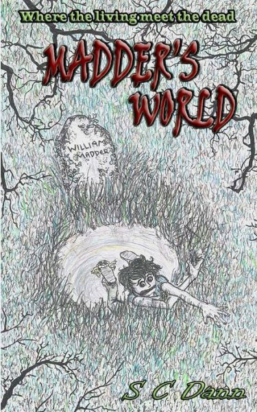 Cover for S C Dann · Madder's World: Where the Living Meet the Dead (Paperback Bog) (2013)