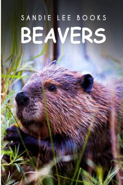 Cover for Curious Kids Press · Beavers - Sandie Lee Books (Paperback Book) (2014)
