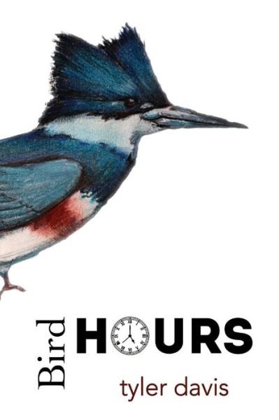 Cover for T J Davis · Bird Hours (Paperback Book) (2013)