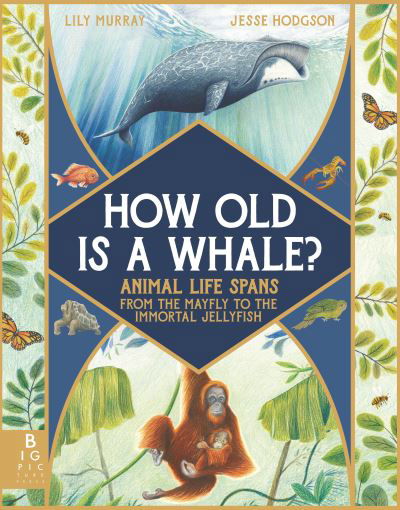 How Old Is a Whale? - Lily Murray - Books - Candlewick Press - 9781536229752 - March 7, 2023