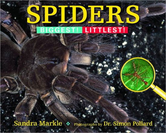 Cover for Sandra Markle · Spiders: Biggest! Littlest! - Biggest! Littlest! (Paperback Book) (2011)