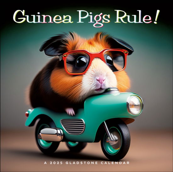 Cover for Gladstone Media · Guinea Pigs Rule! Square Wall Calendar 2025 (Paperback Book) (2024)