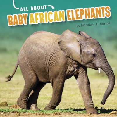 Cover for Martha E H Rustad · All about Baby African Elephants (Hardcover Book) (2021)