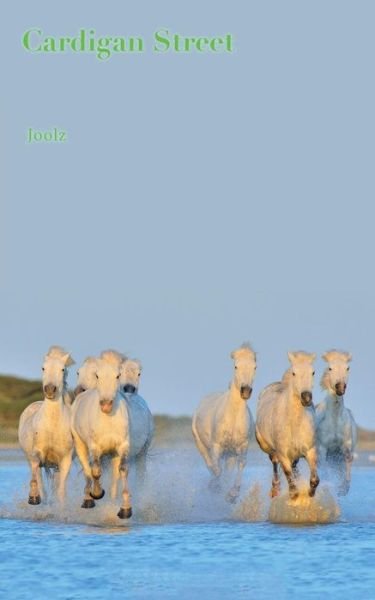 Cover for Joolz · Cardigan Street (Paperback Bog) (2019)