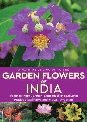 A Naturalist's Guide to the Garden Flowers of India: Pakistan, Nepal, Bhutan, Bangladesh & Sri Lanka - Naturalist's Guide - Pradeep Sachdeva - Książki - John Beaufoy Publishing Ltd - 9781912081752 - 31 października 2019