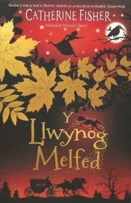 Cover for Catherine Fisher · Y Llwynog Melfed (Taschenbuch) (2024)