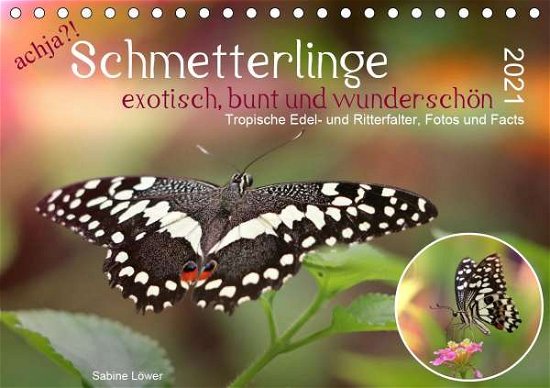 Cover for Löwer · Achja?! Schmetterlinge, Exotisch, (Buch)