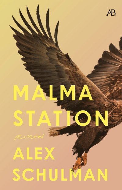 Cover for Alex Schulman · Malma station (Paperback Book) (2023)