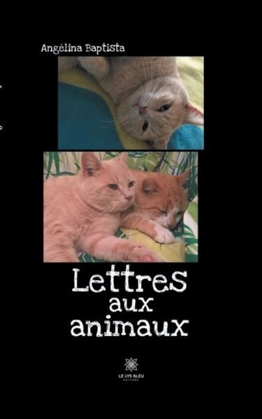 Cover for Angelina Baptista · Lettres aux animaux (Paperback Book) (2020)