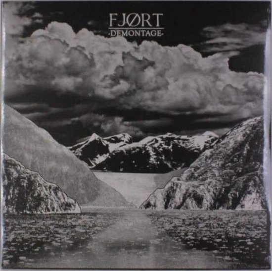 Cover for Fjort · Demontage (VINIL) (2017)