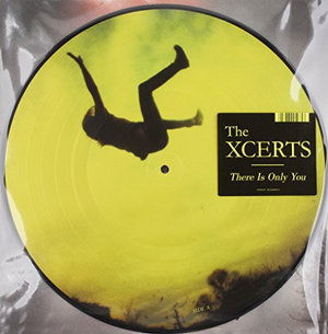 There is Only You - Xcerts - Musik - RAYGUN - 5053760010753 - 6. januar 2015