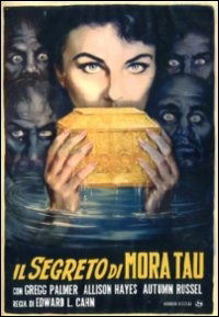 Cover for Segreto Di Mora Tau (Il) (DVD) (2013)