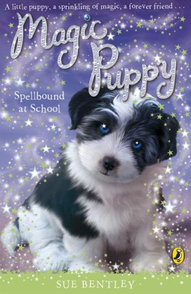 Magic Puppy: Spellbound at School - Magic Puppy - Sue Bentley - Książki - Penguin Random House Children's UK - 9780141324753 - 4 czerwca 2009