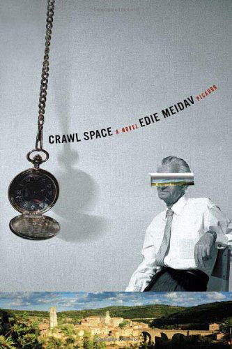 Cover for Edie Meidav · Crawl Space: a Novel (Pocketbok) [Reprint edition] (2006)