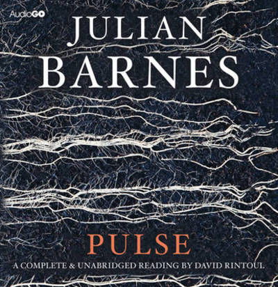 Julian Barnes-pulse - Julian Barnes - Musik -  - 9781408468753 - 