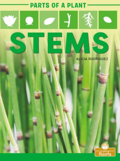 Cover for Alicia Rodriguez · Stems (Paperback Book) (2021)