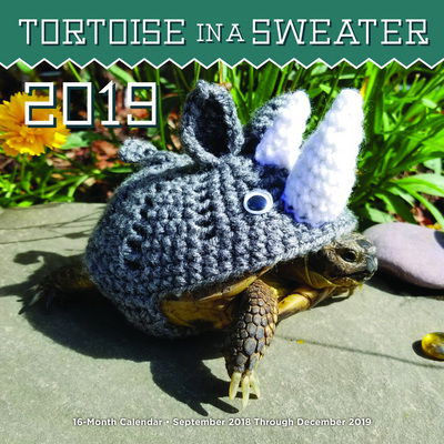 Kal. Tortoise in a Sweater 2019 - Editors of Rock Point - Kirjat - Rock Point - 9781631064753 - torstai 2. elokuuta 2018