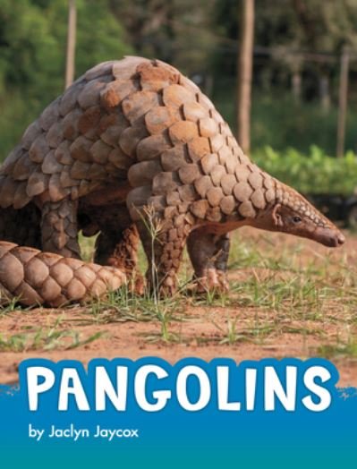 Cover for Jaclyn Jaycox · Pangolins (Book) (2022)