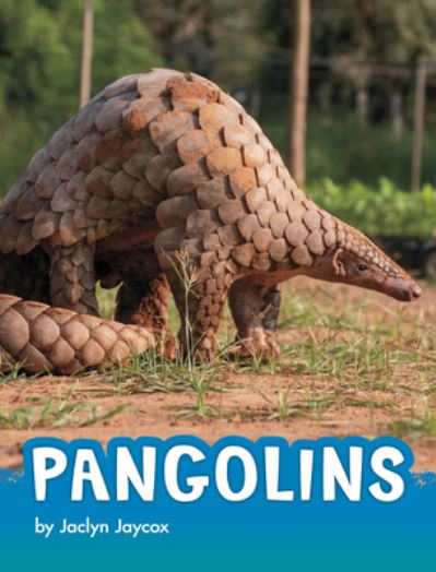 Cover for Jaclyn Jaycox · Pangolins (Book) (2022)