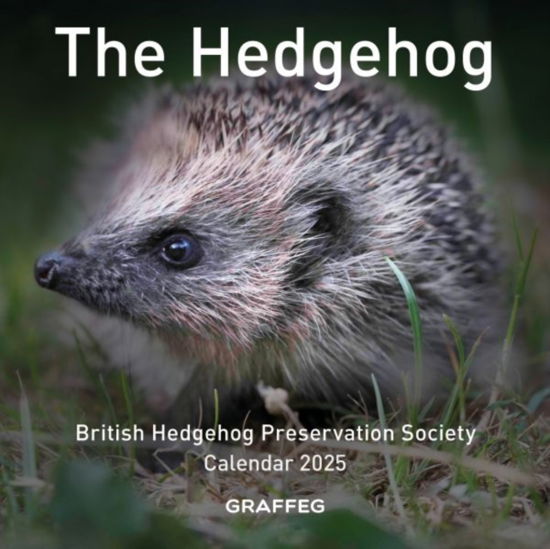 British Hedgehog Preservation Society · The The Hedgehog Calendar 2025 (Calendar) (2024)