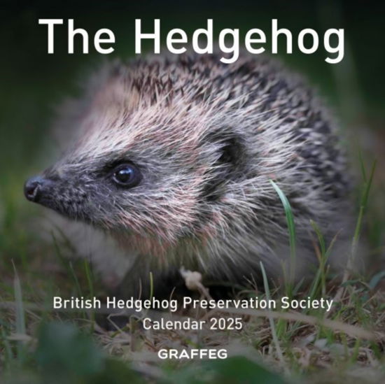 The The Hedgehog Calendar 2025 - British Hedgehog Preservation Society - Gadżety - Graffeg Limited - 9781802587753 - 2 września 2024