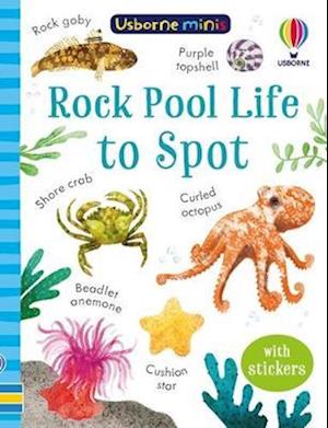 Rock Pool Life to Spot - Usborne Minis - Simon Tudhope - Książki - Usborne Publishing Ltd - 9781803704753 - 25 maja 2023