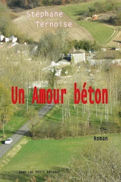 Cover for Stéphane Ternoise · Un Amour Béton (Paperback Book) [French, 1 edition] (2013)