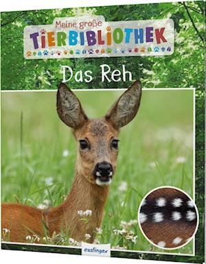 Cover for Jens Poschadel · Das Reh (Bog)