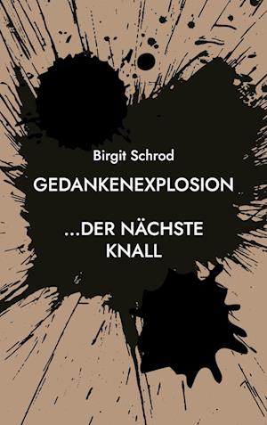 Cover for Birgit Schrod · Gedankenexplosion (Book) (2022)