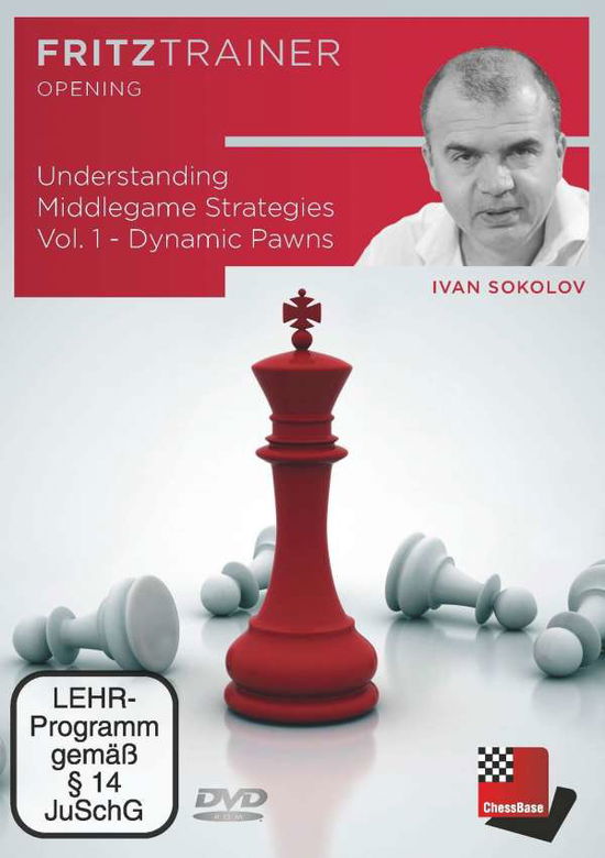 Cover for Sokolov · Understanding Middlegame Strate (Book)