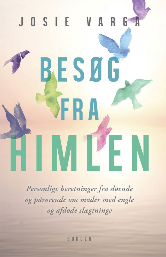 Cover for Josie Varga · Besøg fra himlen (Hæftet bog) [1. udgave] (2018)