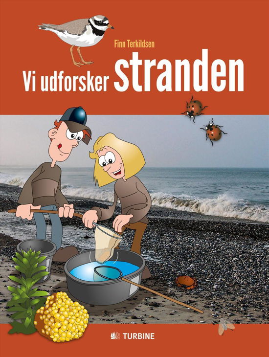 Cover for Finn Terkildsen · Vi udforsker stranden (Sewn Spine Book) [1th edição] (2016)