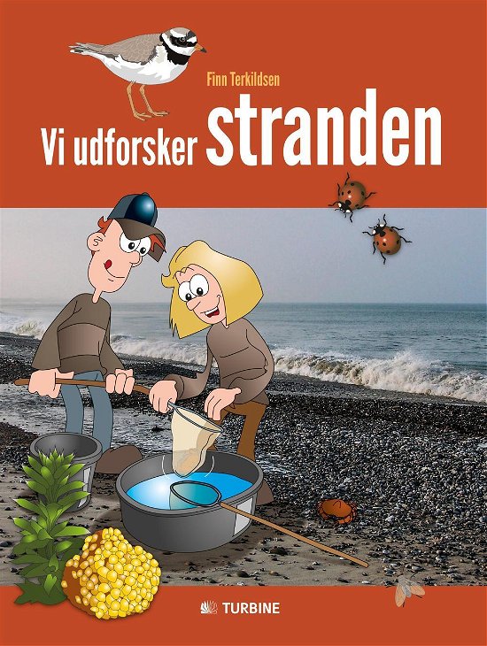 Cover for Finn Terkildsen · Vi udforsker stranden (Hæftet bog) [1. udgave] (2016)