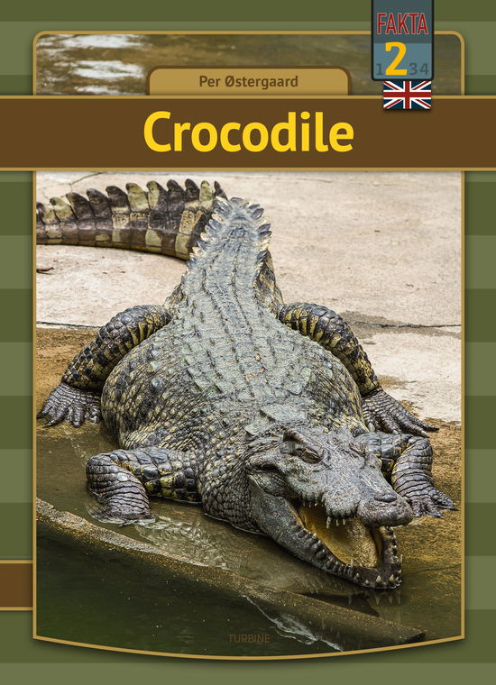 My first book: Crocodile - Per Østergaard - Bøger - Turbine - 9788740686753 - 22. juni 2022