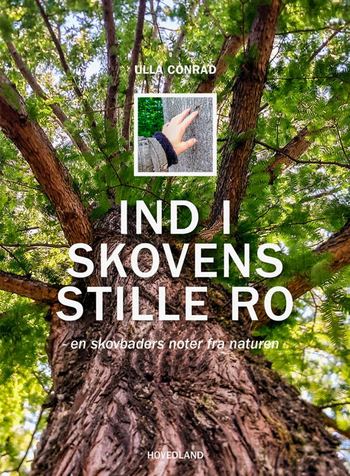 Ulla Conrad · Ind i skovens stille ro (Heftet bok) [1. utgave] (2024)