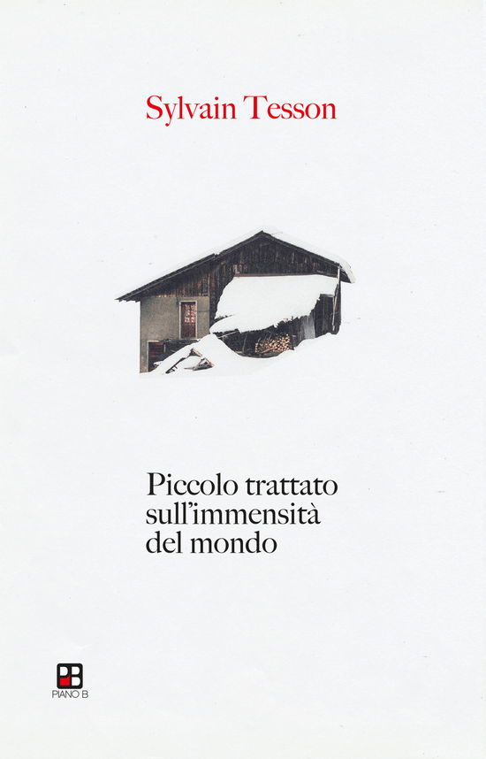 Cover for Sylvain Tesson · Piccolo Trattato Sull'immensita Del Mondo (Book)