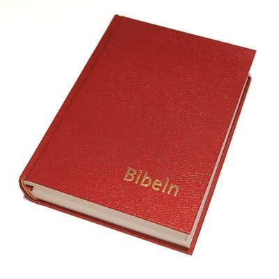 Cover for Nya Inlagan Bibel 2000 · Bibeln konstskinn normal (Indbundet Bog) (2007)